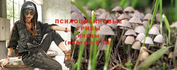каннабис Балахна