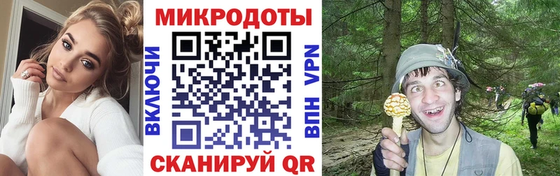 Купить закладки  Алексеевка  Галлюциногенные грибы мухоморы 